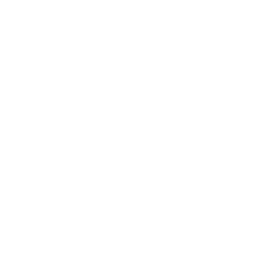 VYDA Logo Final White 250px Connect Page